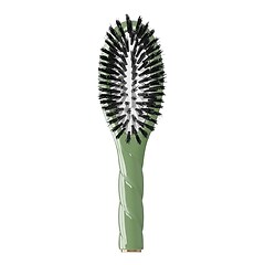La Petite Brosse N°1 L'universelle – En poils de Sanglier - Brosse de soin, LA BONNE BROSSE