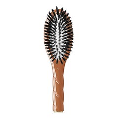 La Petite Brosse N°1 L'universelle – En poils de Sanglier - Brosse de soin, LA BONNE BROSSE