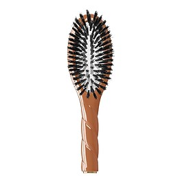 La Petite Brosse N°1 L'universelle – En poils de Sanglier - Brosse de soin