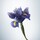 La Perla My Day - Woda perfumowana