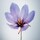 La Perla Just Give Me Roses - Woda perfumowana