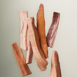 Let The Dance Begin - Parf&eacute;mov&aacute; voda