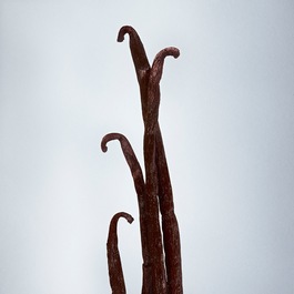 La Perla Possibilities - Woda perfumowana