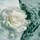 Spray Algues et Fleurs