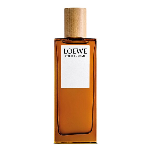Loewe Pour Homme - Toaletní voda, LOEWE