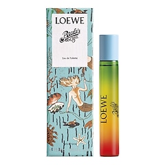 Loewe Paula's Ibiza, Loewe