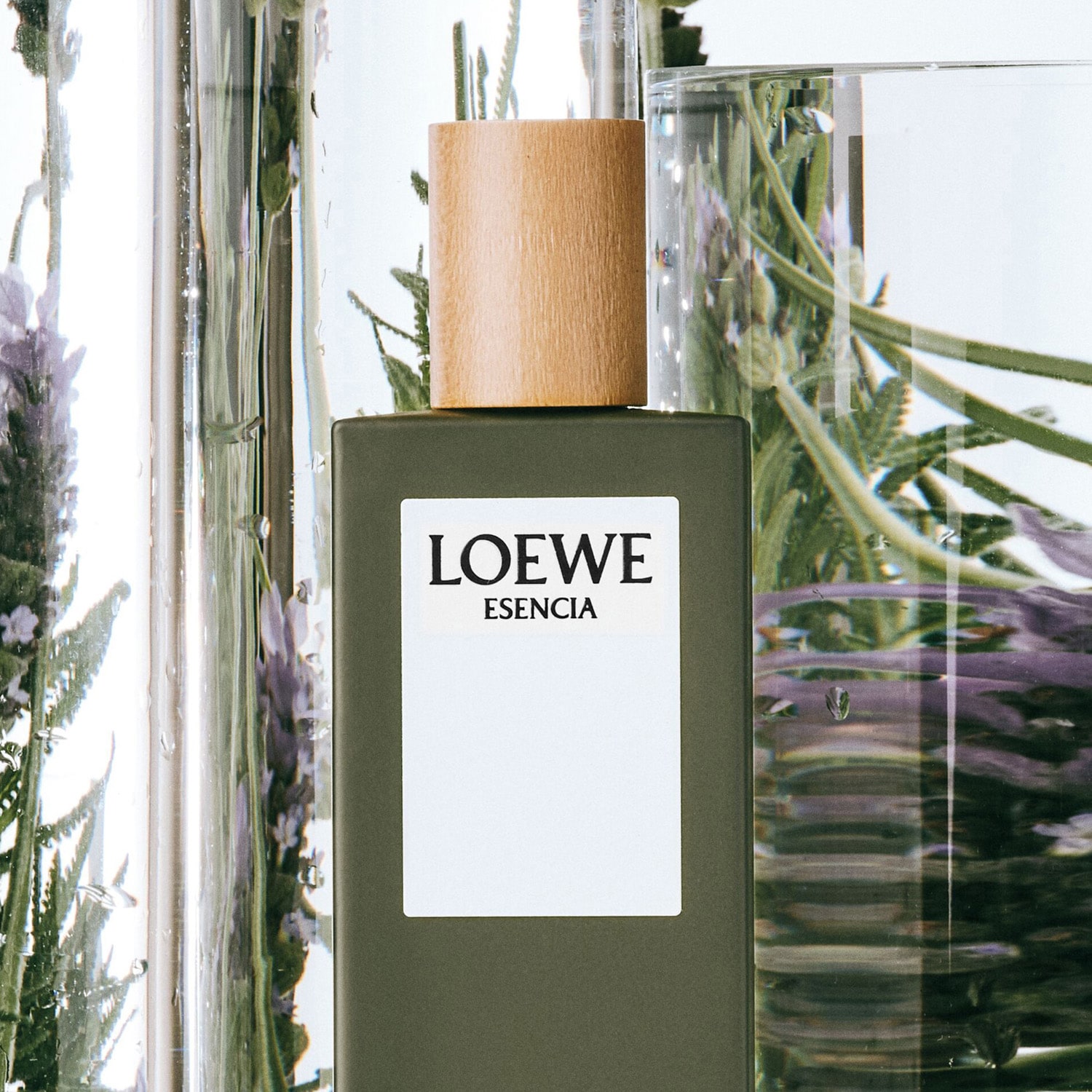 【Harushh 】LOEWEESENCIA Eau deToilette Loewe Esencia Woda Toaletowa 150 ml - Opinie i ceny na Ceneo.pl
