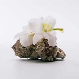 Loewe A Mi Aire - Eau de Toilette
