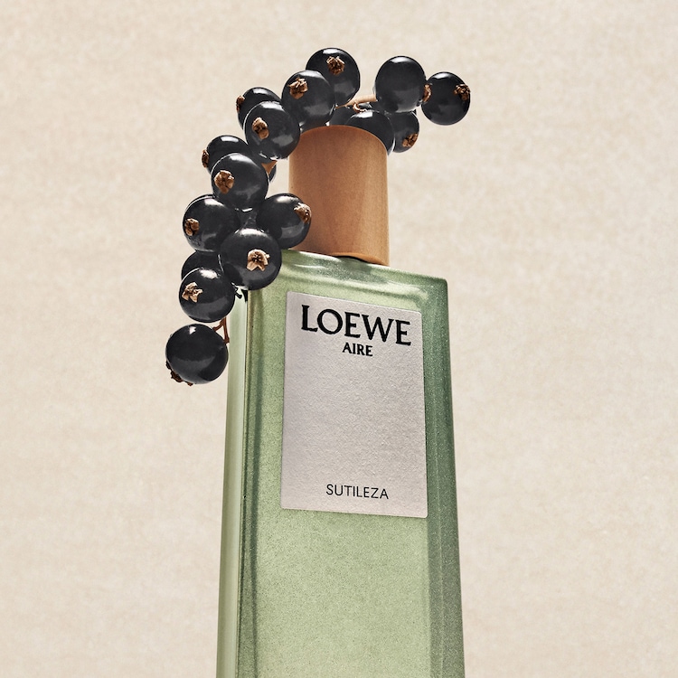 Loewe Aire Sutileza - Eau de Toilette