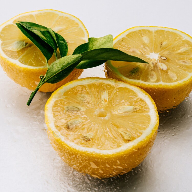 LOEWE Agua Mar Coral - Eau de Toilette