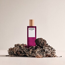 Earth - Woda perfumowana