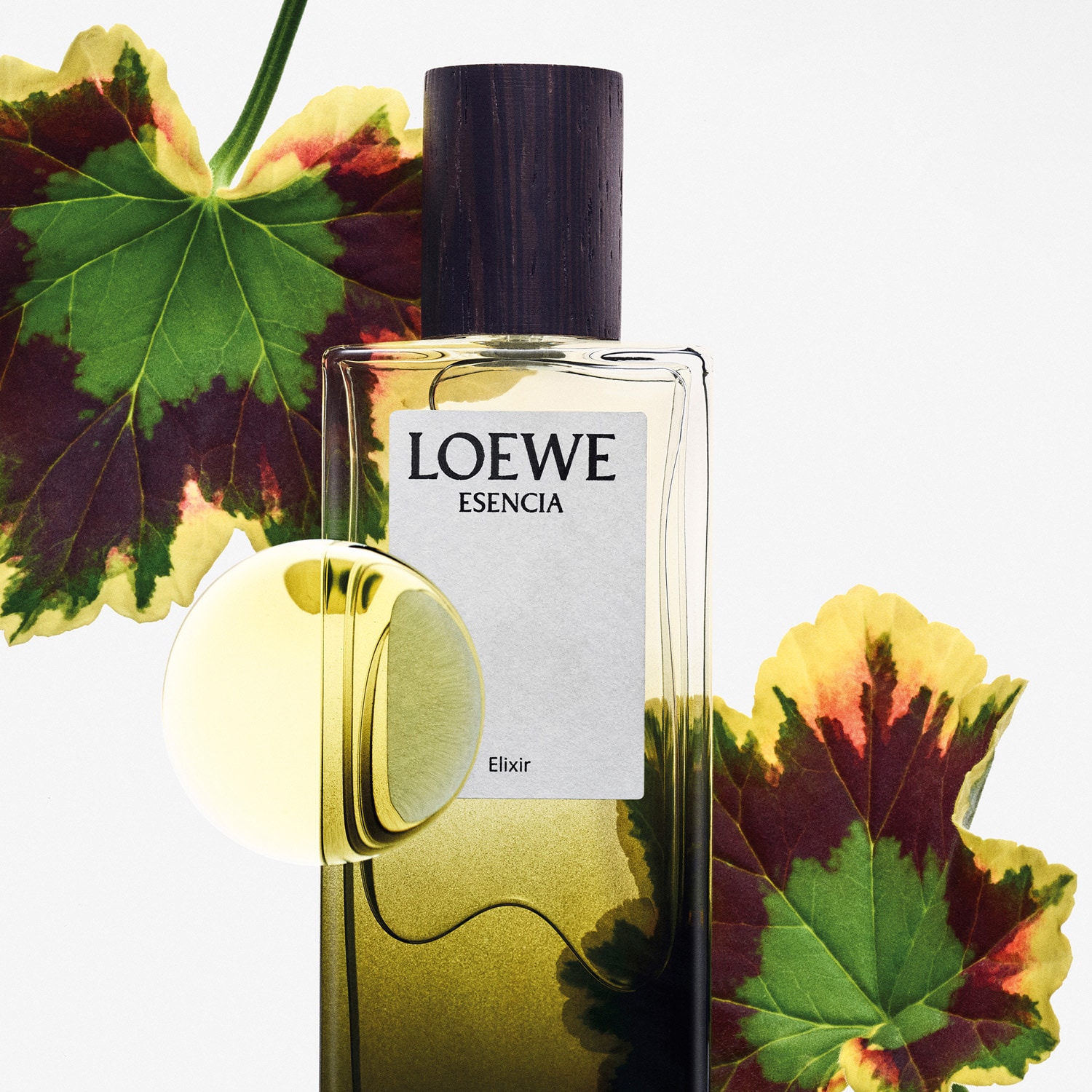 LOEWE ESENCIA Elixir ロエベ オードゥパルファン　50mL LOEWE ESENCIA Elixir ロエベ オードゥパルファン 50mL