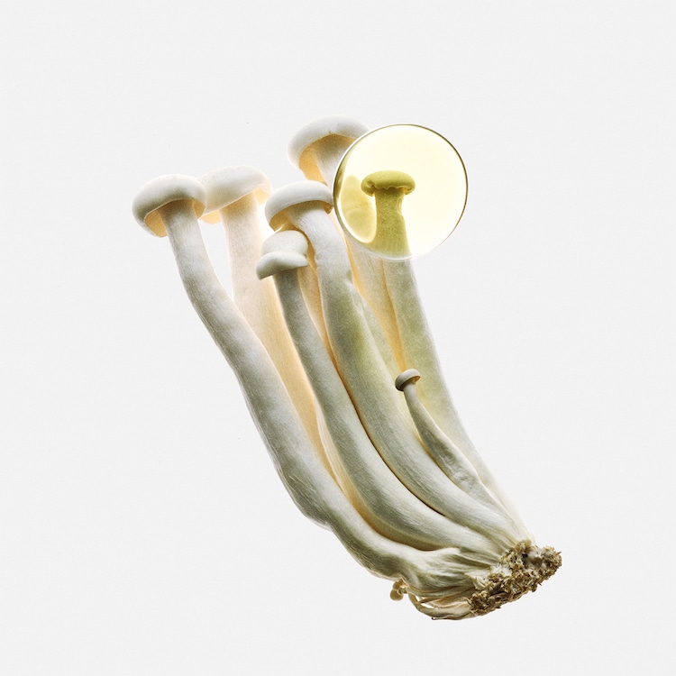 LOEWE EARTH ELIXIR - PERFUME