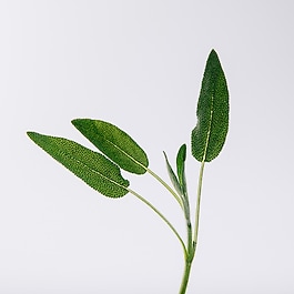 Un Paseo Por Madrid Prado - Woda perfumowana