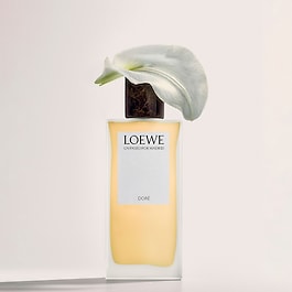 LOEWE Un Paseo Por Madrid Dore - Woda perfumowana