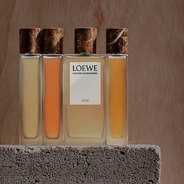 LOEWE Un Paseo Por Madrid Dore - Woda perfumowana
