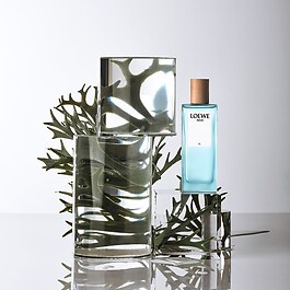 Loewe Agua El - Toaletní voda