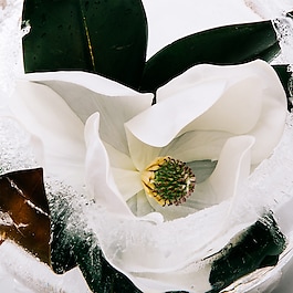 Aura Pink Magnolia - Woda perfumowana