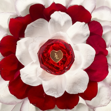 Découvrir le produit