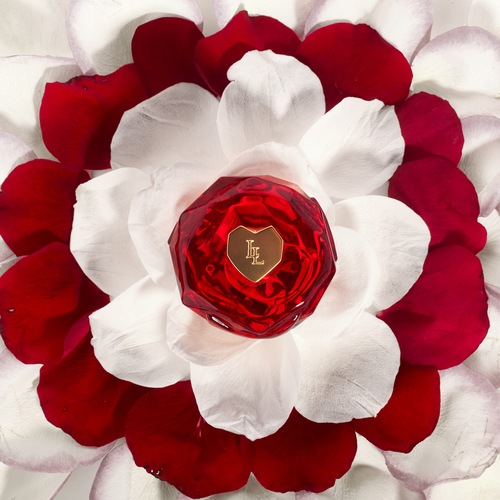 Découvrir le produit