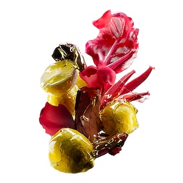 Limited Edition Trio Gift Set Vitamino Color Spectrum - για Γυάλινη Λάμψη