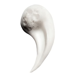 Metal Detox Shampoo - Metal arındırıcı şampuan 