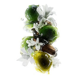 Metal Detox Shampoo - Metal arındırıcı şampuan 