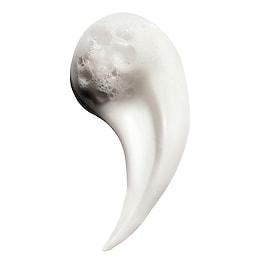  Curl Expression - Hydratačn&iacute; &scaron;ampon