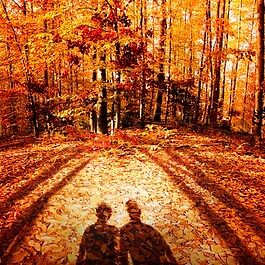 Autumn Vibes  - Vela perfumada