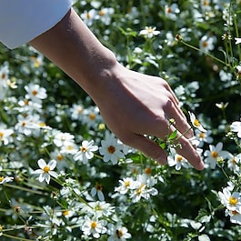 Replica Springtime Park - Eau de Toilette