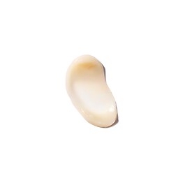 Step 1 Primer - Shine Control