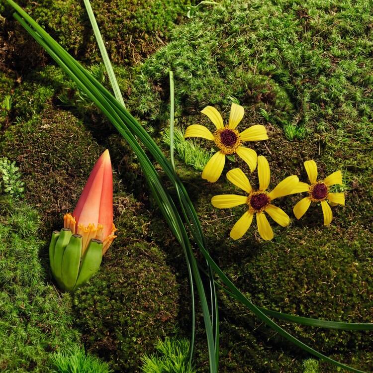 The product image is missing!