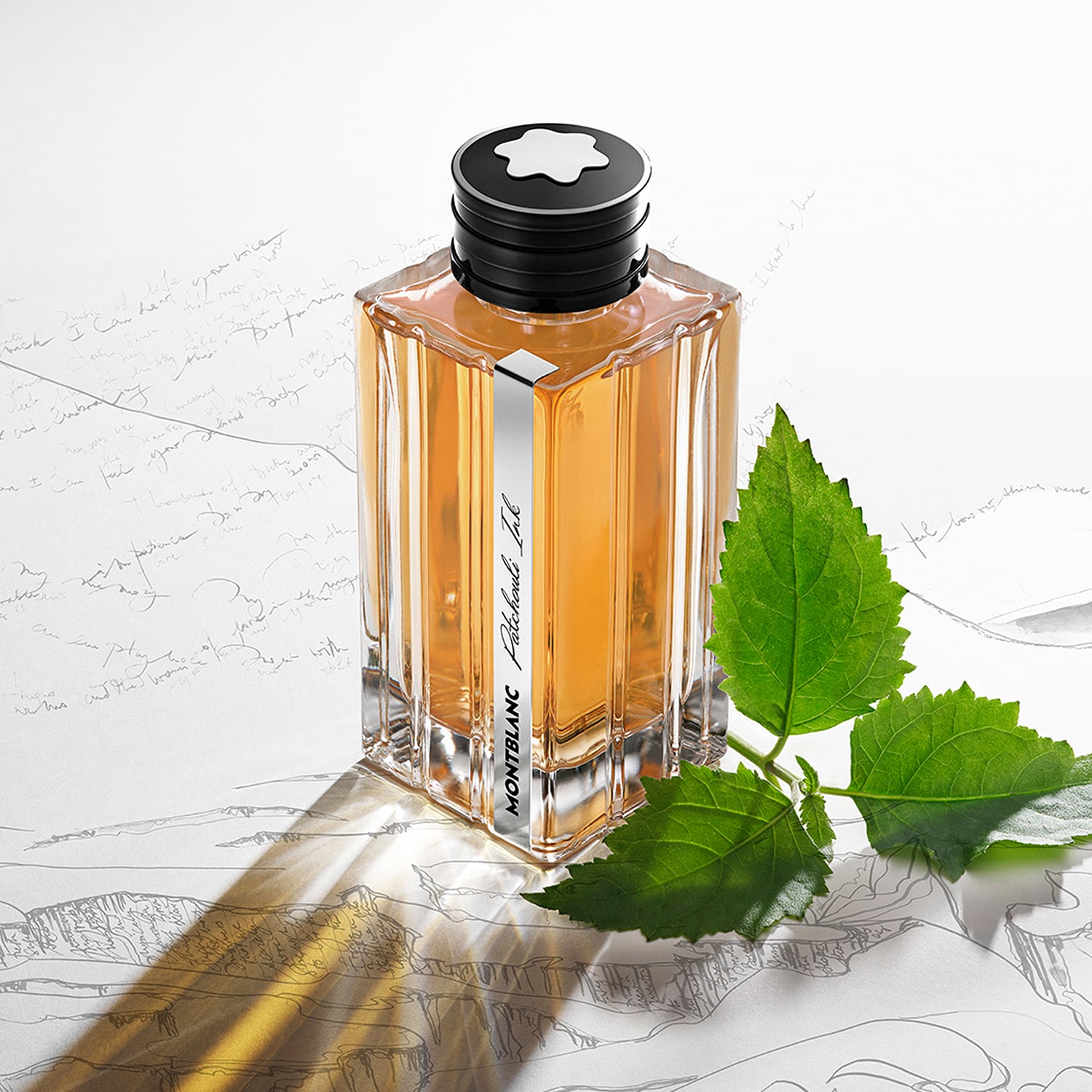モンブラン コレクション パチュリ インク EDP 125ml MONTBLANC COLLECTION PATCHOULI INK EDP 125ML | MONTBLANC ≡ SEPHORA