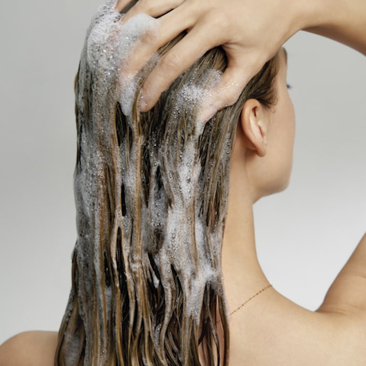 FRIZZ CONTROL SHAMPOO – Shampooing anti-frisottis