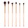 Denude Eye brush set - Set med 6 ögonborstar