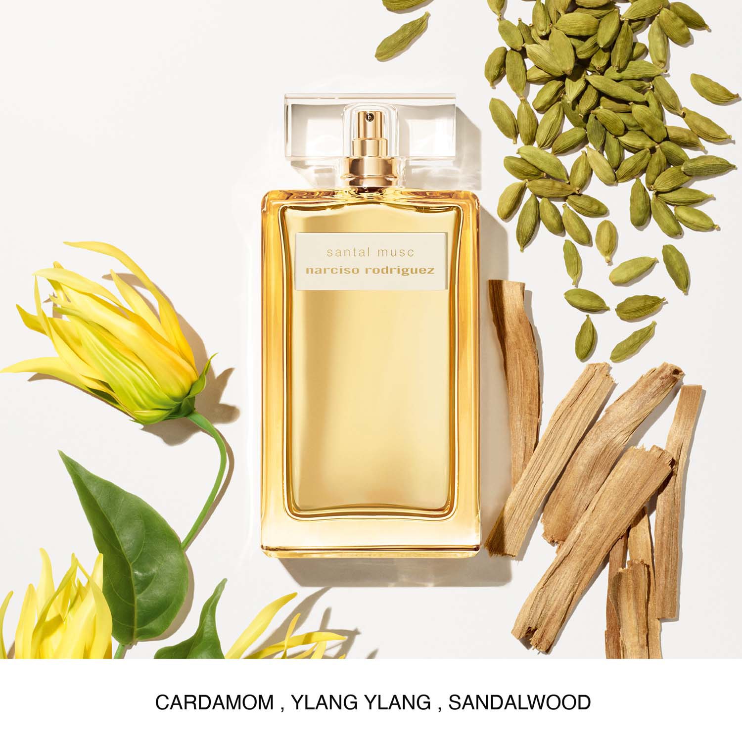 NR SANTAL MUSC EDP INTENSE 100ML | NARCISO RODRIGUEZ ≡ SEPHORA