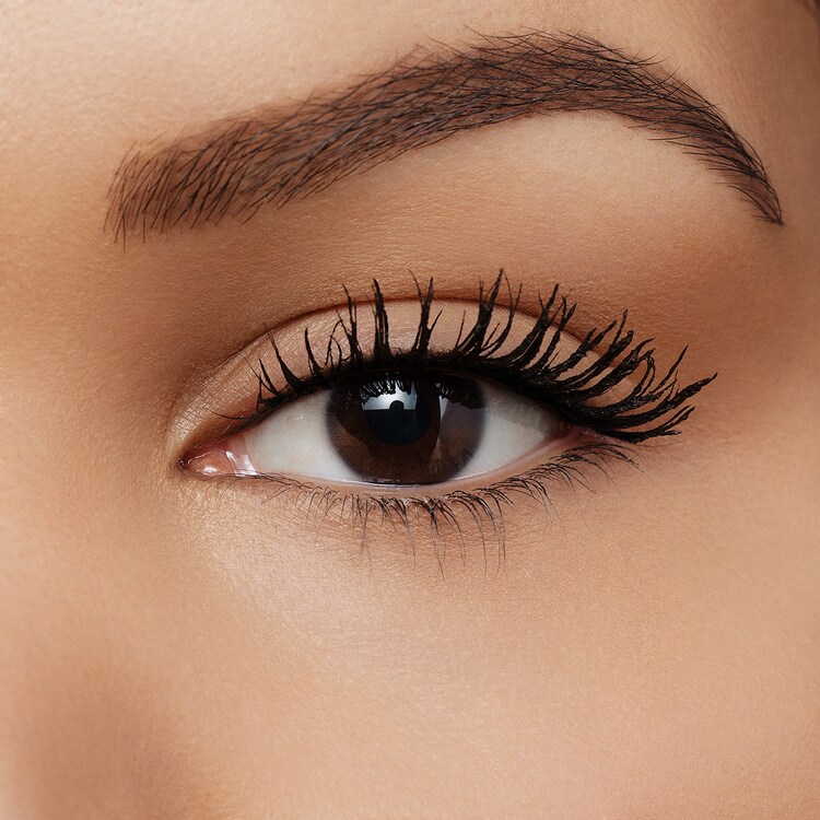 Climax and Velvet Matte Set - Coffret Maquilhagem