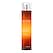 Vaporisateur 100 ml