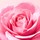 Very rose - Água micelar suavizante