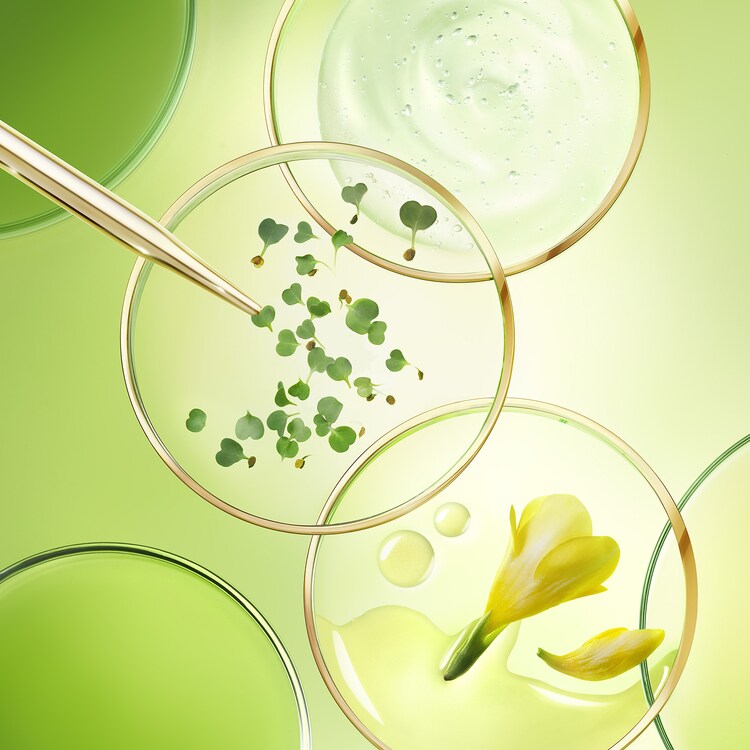 Nuxuriance Ultra - Crema Antiedad Global