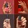 What's Your Mani-tude – Coffret de 4 minis vernis à ongles tenue jusqu'à 7 jours