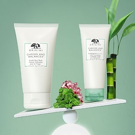 Checks and Balances™ - Frothy Face Wash