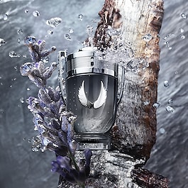 Invictus Plantinum - Eau de Parfum
