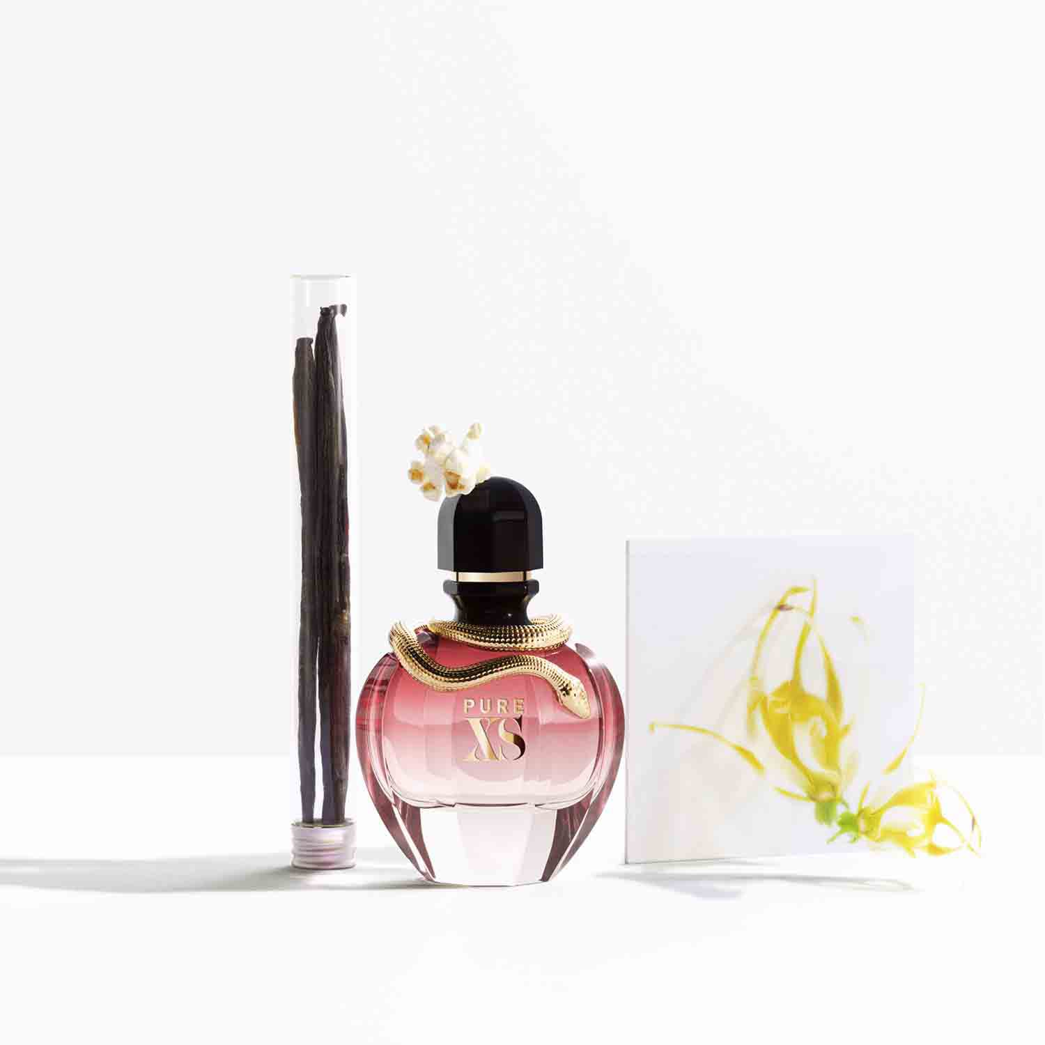 Pure XS For Her - Eau de Parfum | Rabanne Fragrances ≡ SEPHORA