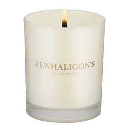 Ceylon Pekoe - Bougie