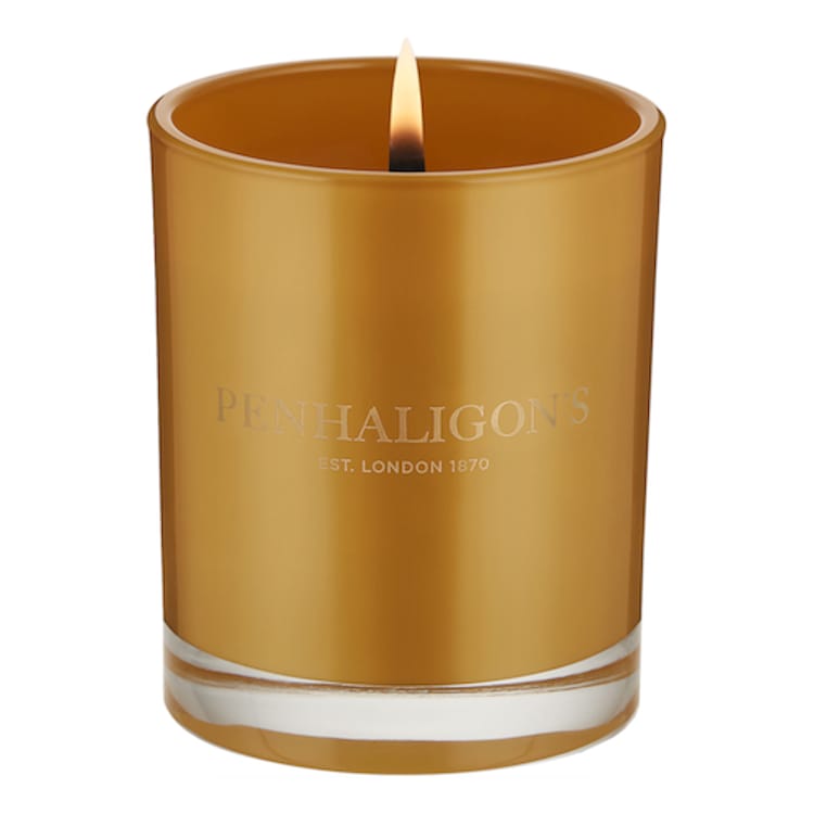 Calisaya Bark - Bougie