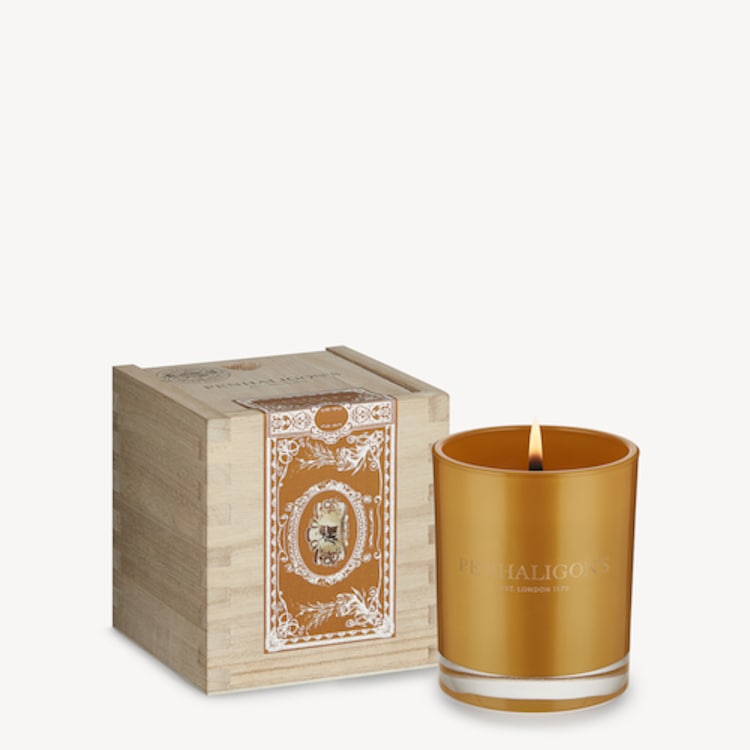 Calisaya Bark - Bougie