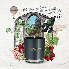 Roanoke Ivy - Bougie