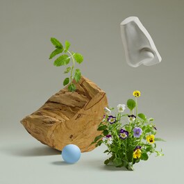 Bold Blend - Eau de Parfum