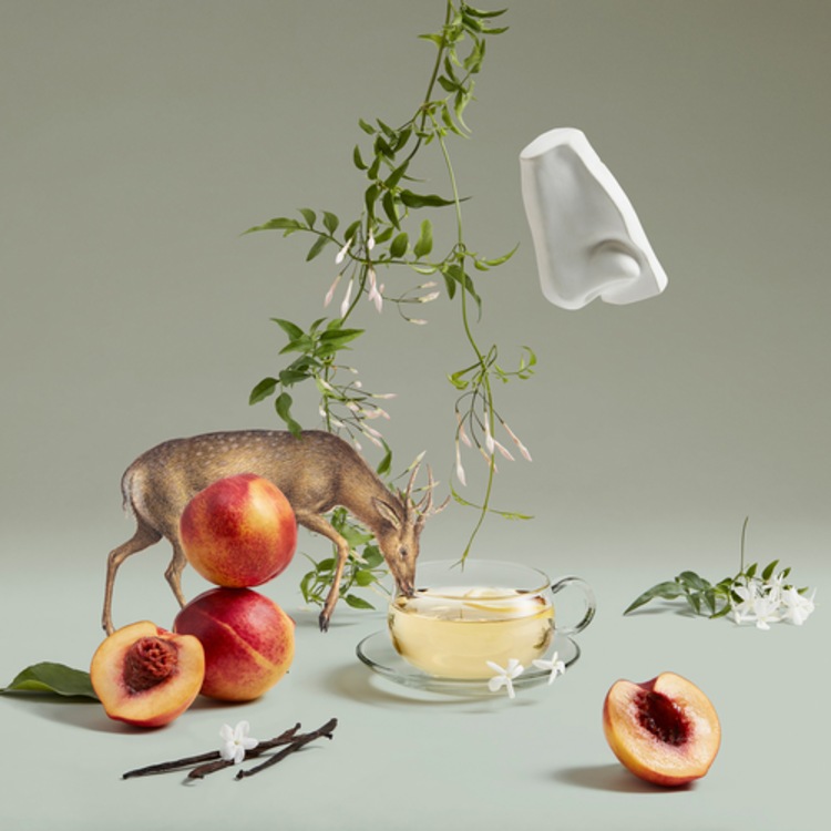 The Bewitching Yasmine - Eau de parfum Ambrée